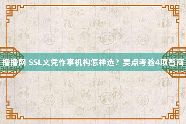 撸撸网 SSL文凭作事机构怎样选？要点考验4项智商