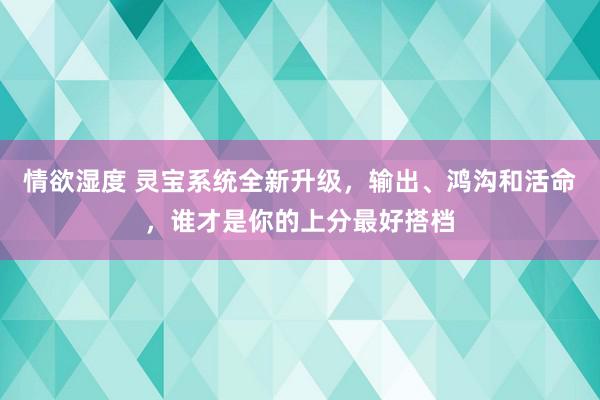 情欲湿度 灵宝系统全新升级，输出、鸿沟和活命，谁才是你的上分最好搭档