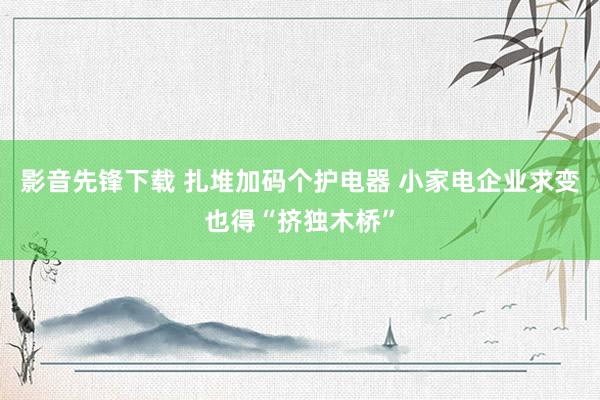 影音先锋下载 扎堆加码个护电器 小家电企业求变也得“挤独木桥”