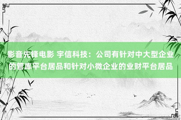 影音先锋电影 宇信科技：公司有针对中大型企业的管库平台居品和针对小微企业的业财平台居品