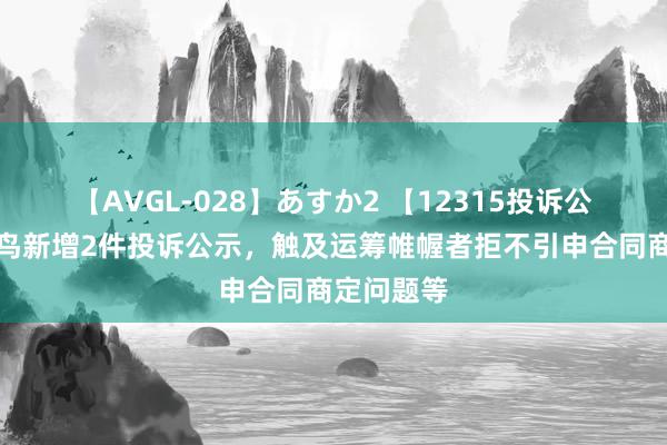 【AVGL-028】あすか2 【12315投诉公示】太平鸟新增2件投诉公示，触及运筹帷幄者拒不引申合同商定问题等