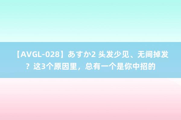 【AVGL-028】あすか2 头发少见、无间掉发？这3个原因里，总有一个是你中招的