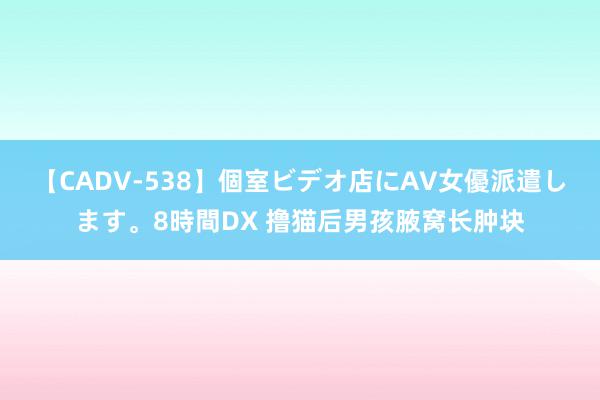 【CADV-538】個室ビデオ店にAV女優派遣します。8時間DX 撸猫后男孩腋窝长肿块