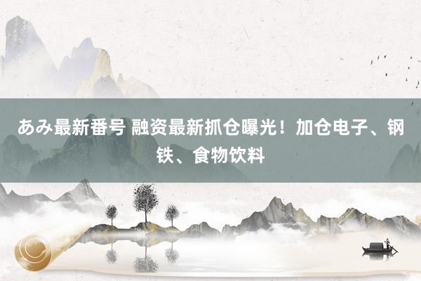 あみ最新番号 融资最新抓仓曝光！加仓电子、钢铁、食物饮料