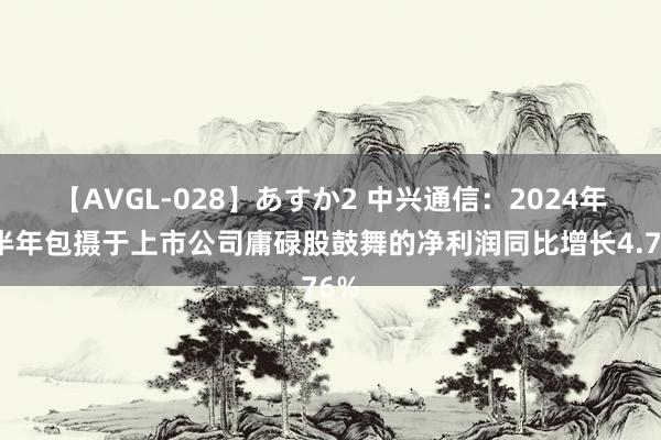 【AVGL-028】あすか2 中兴通信：2024年上半年包摄于上市公司庸碌股鼓舞的净利润同比增长4.76%