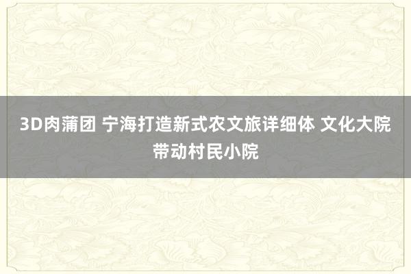 3D肉蒲团 宁海打造新式农文旅详细体 文化大院带动村民小院