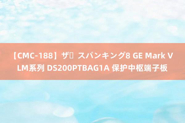 【CMC-188】ザ・スパンキング8 GE Mark V LM系列 DS200PTBAG1A 保护中枢端子板