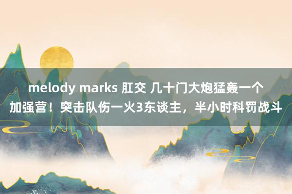 melody marks 肛交 几十门大炮猛轰一个加强营！突击队伤一火3东谈主，半小时科罚战斗