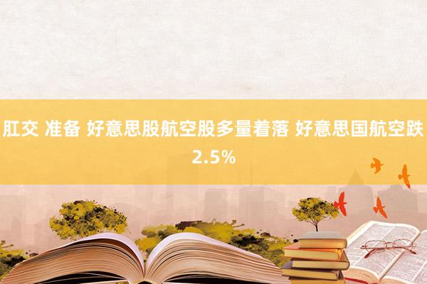 肛交 准备 好意思股航空股多量着落 好意思国航空跌2.5%