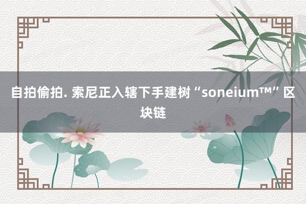 自拍偷拍. 索尼正入辖下手建树“soneium™”区块链