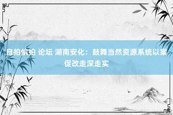 自拍偷拍 论坛 湖南安化：鼓舞当然资源系统以案促改走深走实