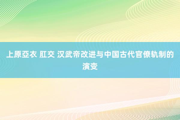 上原亞衣 肛交 汉武帝改进与中国古代官僚轨制的演变